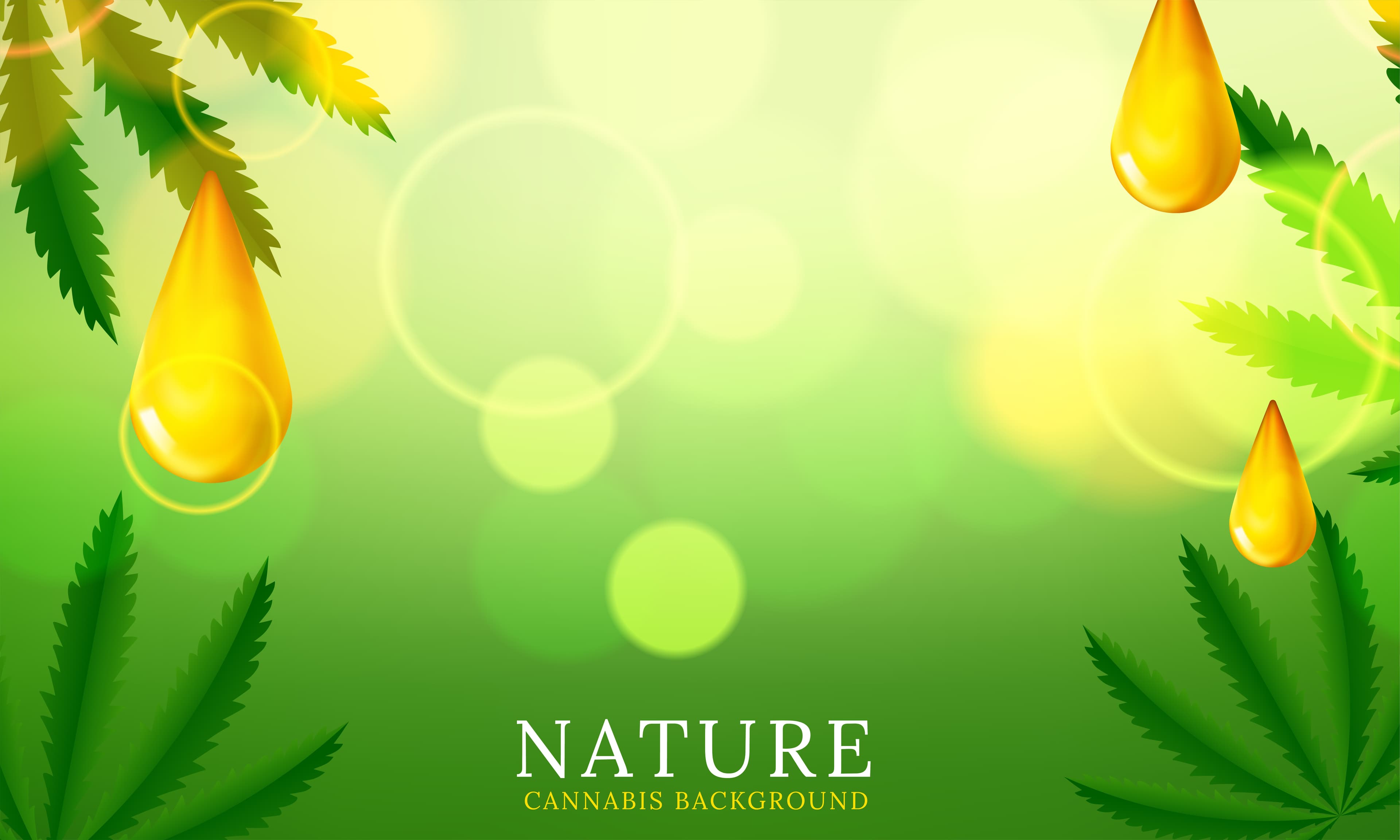 Ayurvedic Products Banner